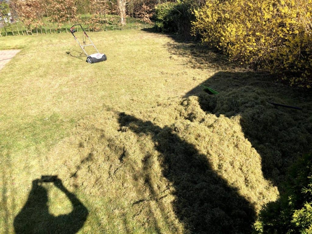bunke-af-mos-efter-klipning Bunke af mos efter vertikalskærer