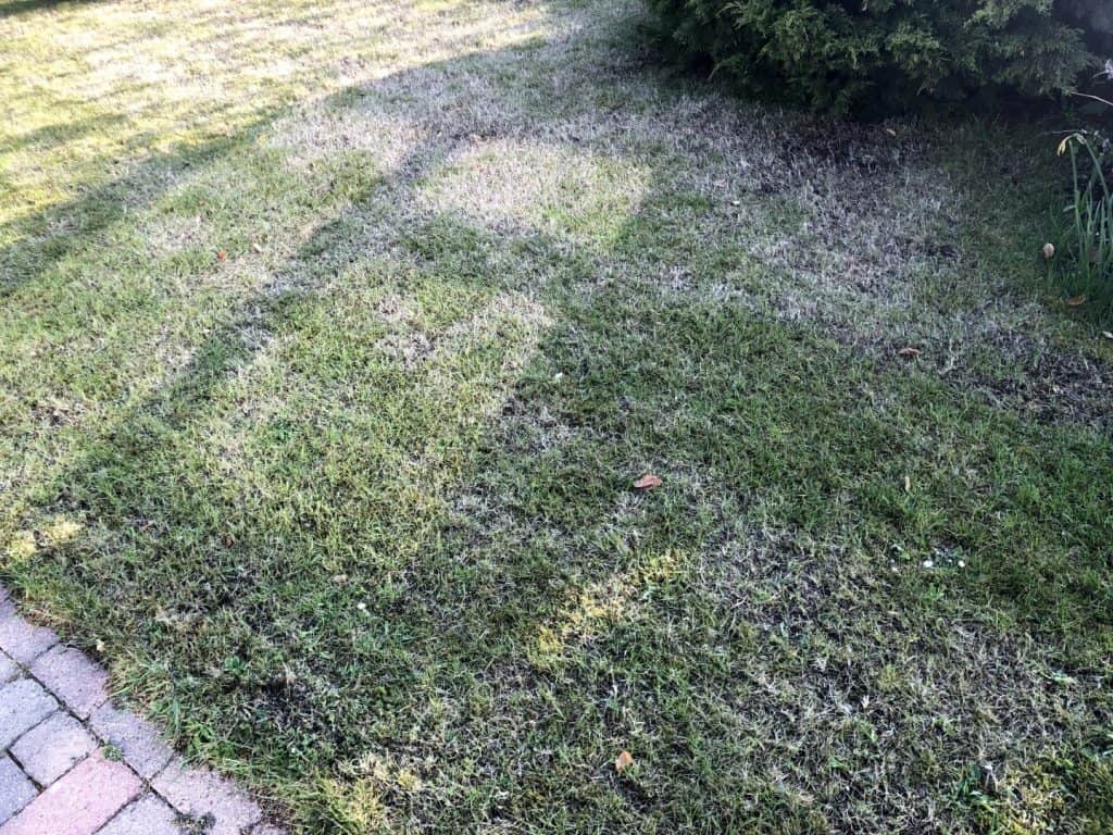 efter-vertikalskaerer efter-vertikalskaerer