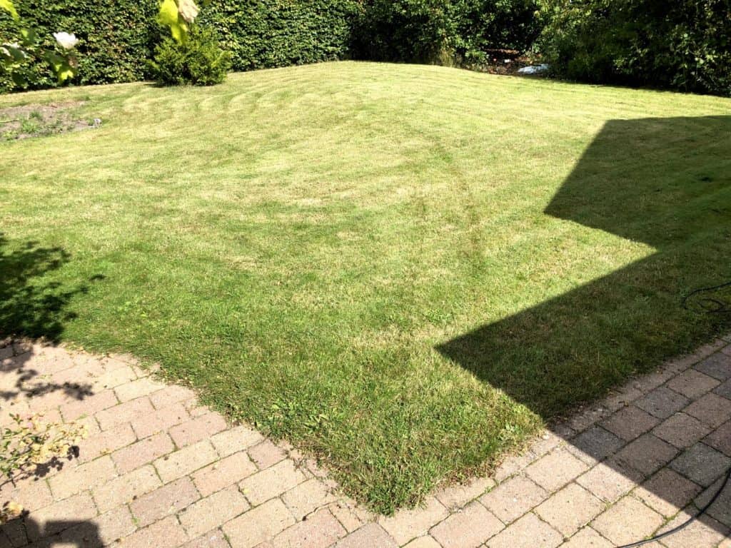 kortklippet-graes-1 kortklippet-graes-1