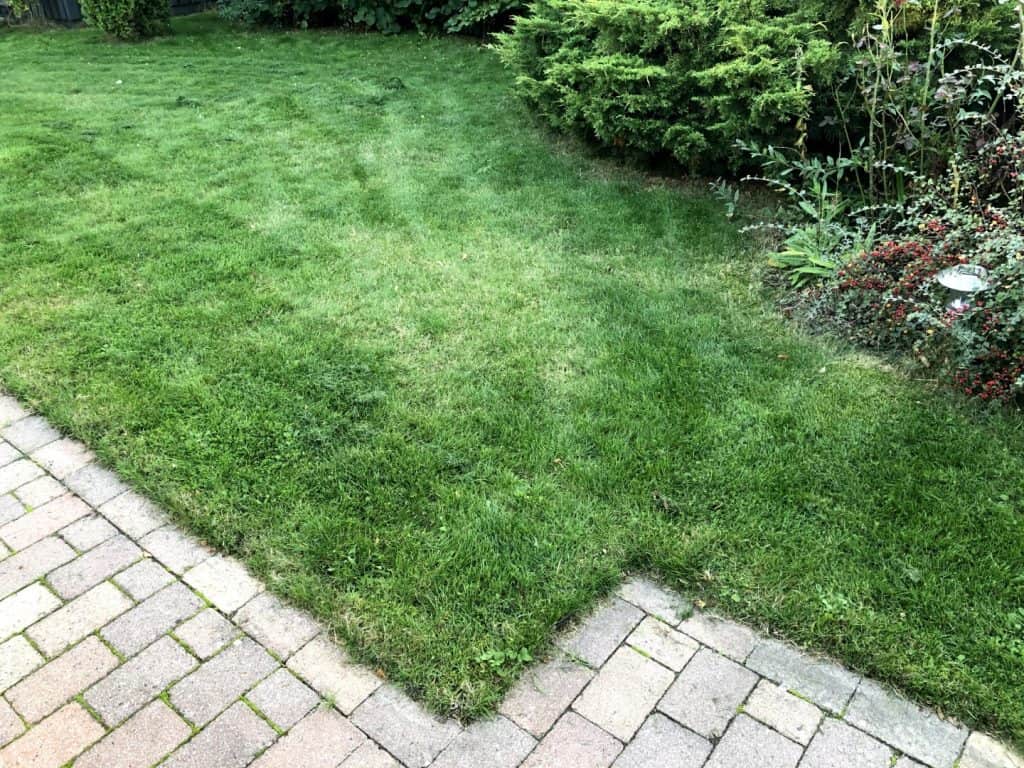 Slutresultat_mosfjerner_graes