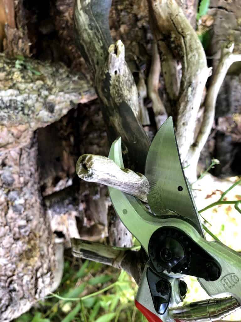 Begrænsninger Felco 2